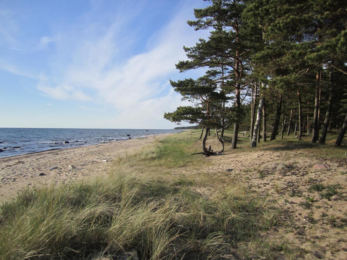 Tahkuna Forest House Korgessaare Екстер'єр фото